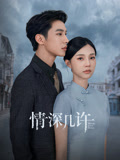 情深几许海报